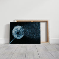 Dandelion Becomes Stardust