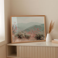 Desert Blossoms Paint Mountain Dreams
