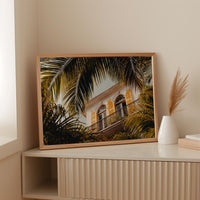 Golden Shutters Behind Palm Veils