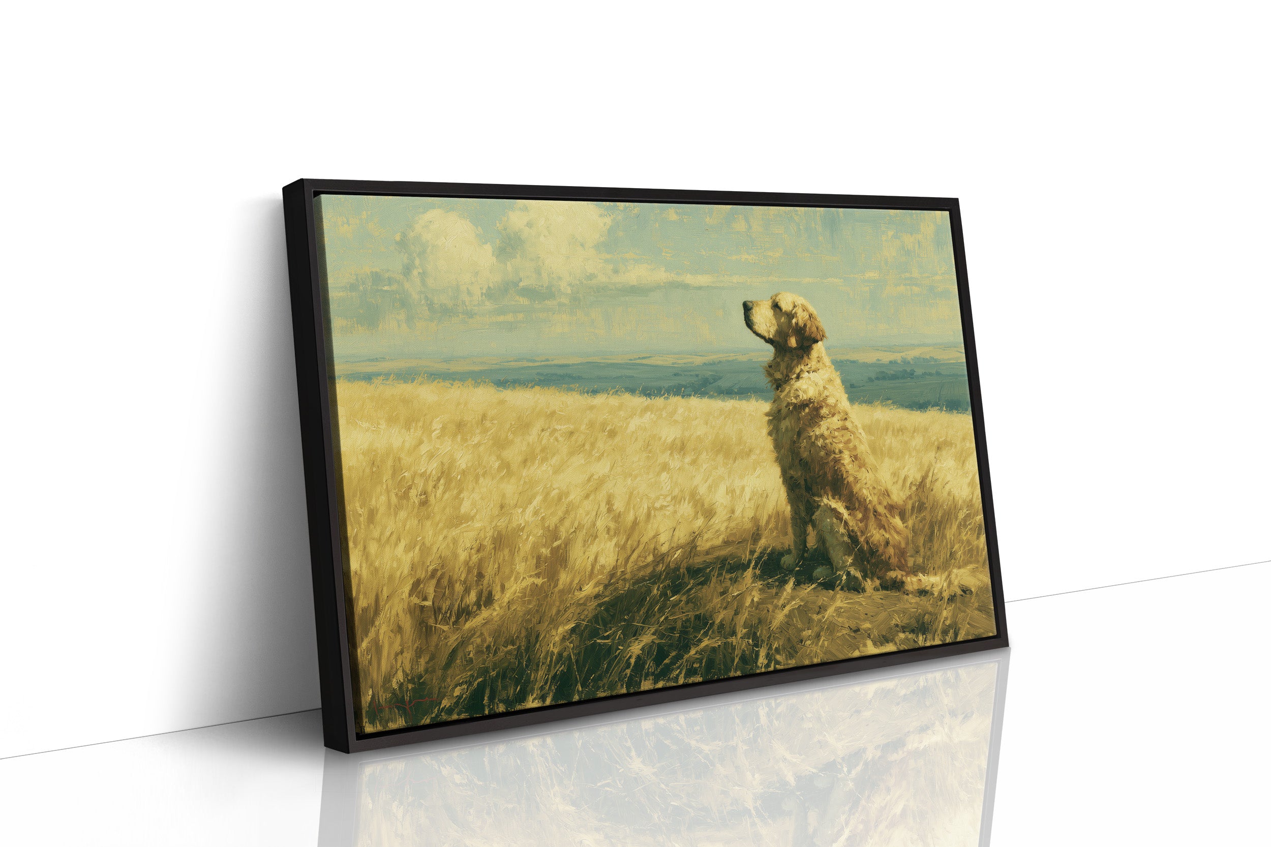 Golden Retriever, Golden Fields