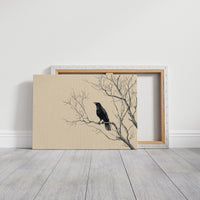 Raven Perches On Winter Branches