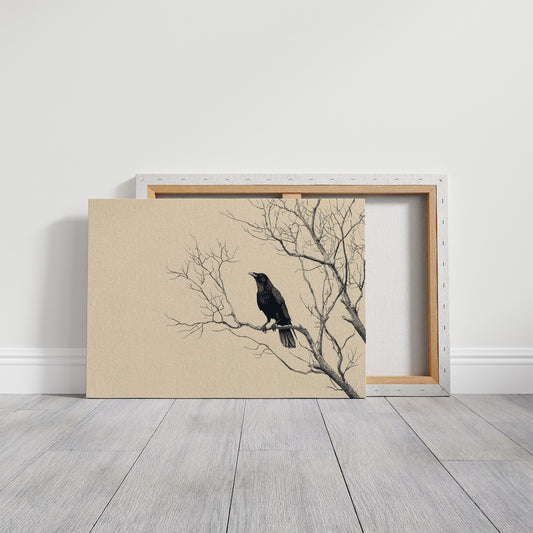 Raven Perches On Winter Branches