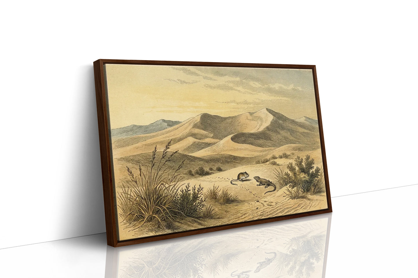 Kangaroo Rat and the Dune Lizard