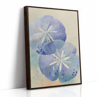 Lavender Sand Dollars Whisper Secrets