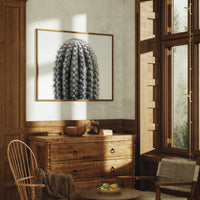 Spines Dance In Silver Light