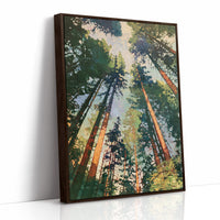 Sunlit Pines Rising