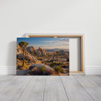Golden Hour Finds The Desert Awake