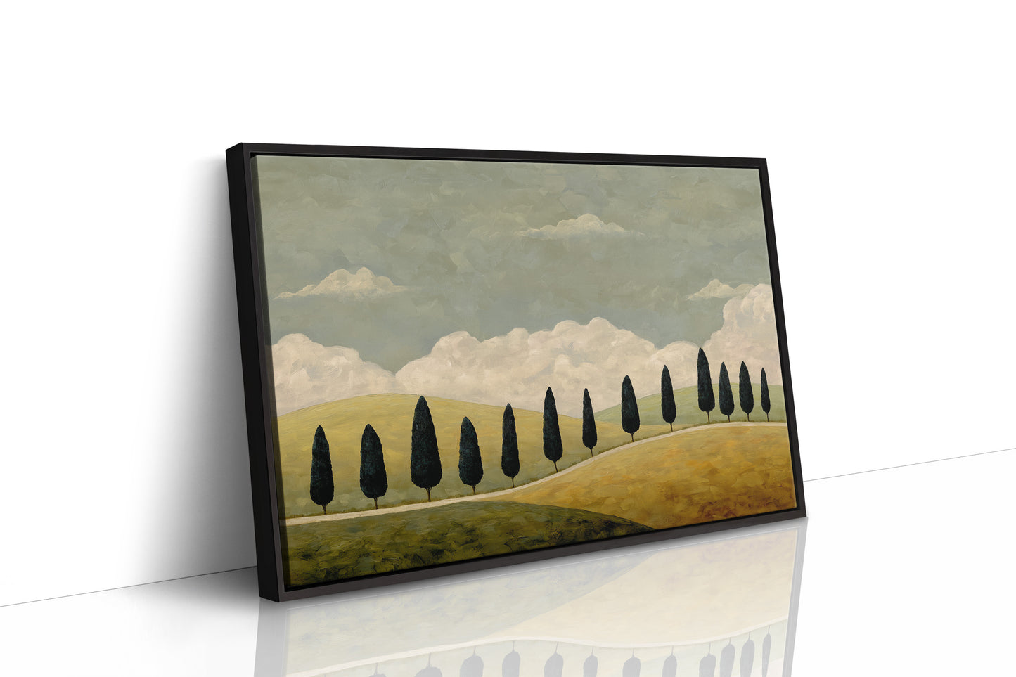 Cypress Line Across Quiet Hills