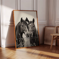 Close Companions at the Fence Line