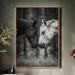 black and white horses face to face 