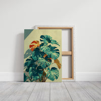 Monstera in Afternoon Light