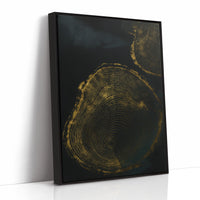 Shadow Rings in Gold