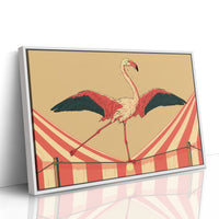 Flamingo Tightrope Circus Act