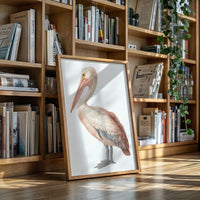 Beneath A Soft Feathered Gaze