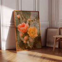 Blooming Cactus in Desert Light