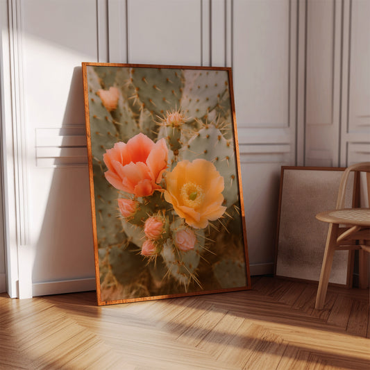 Blooming Cactus in Desert Light