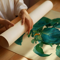 Basil Leaves Dance In Morning Light