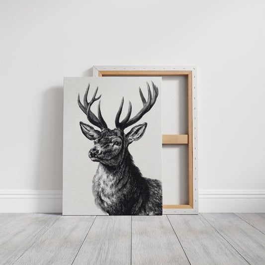 Antlers Sketch By Christmas Glow