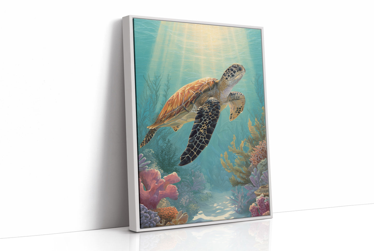 Sea Nomad Through Coral Gardens