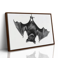 Nocturnal Scholar Hangs Between Pages