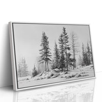 Winter Pines Stand Silent Watch