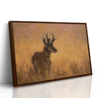 Pronghorn in Golden Grass