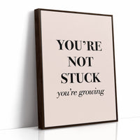You're Not Stuck You're Growing