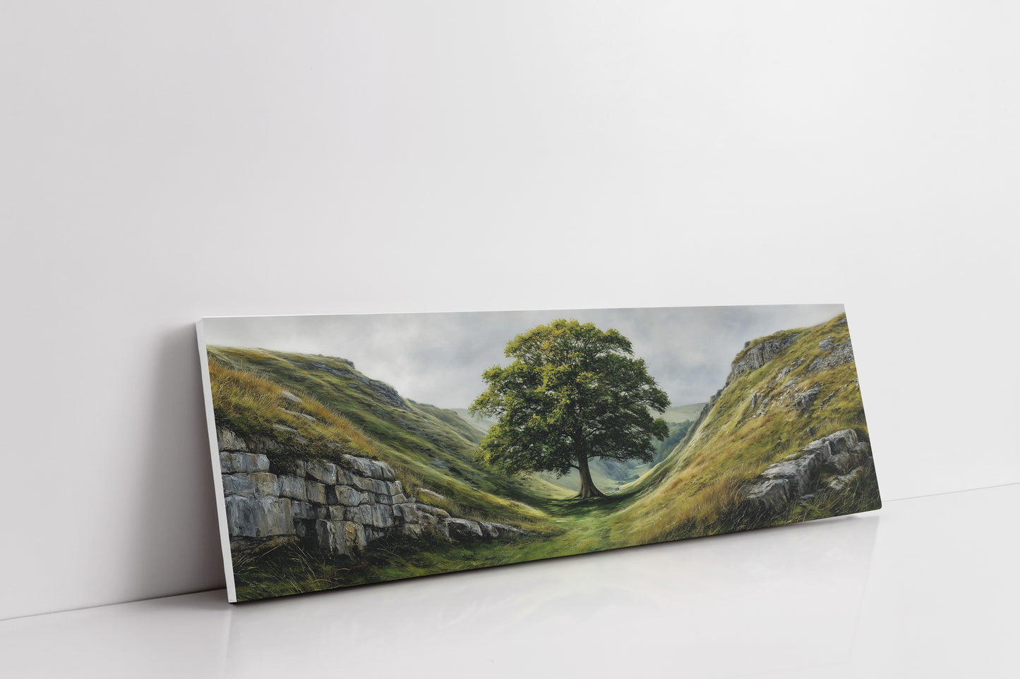 Lone Tree in the Green Valley