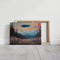 Cosmic Visitors Above Alpine Meadows