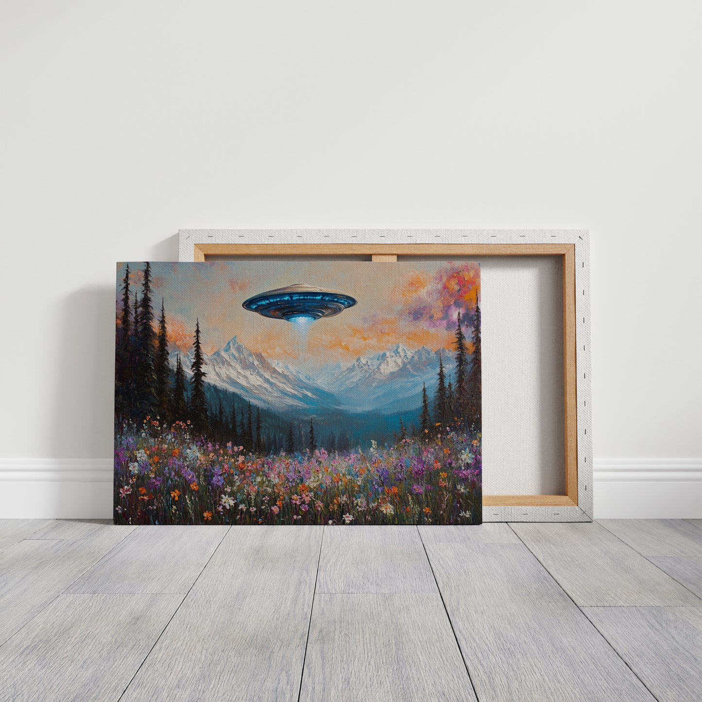 Cosmic Visitors Above Alpine Meadows