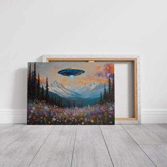 Cosmic Visitors Above Alpine Meadows