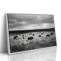 The Prairie Remembers Their Weight