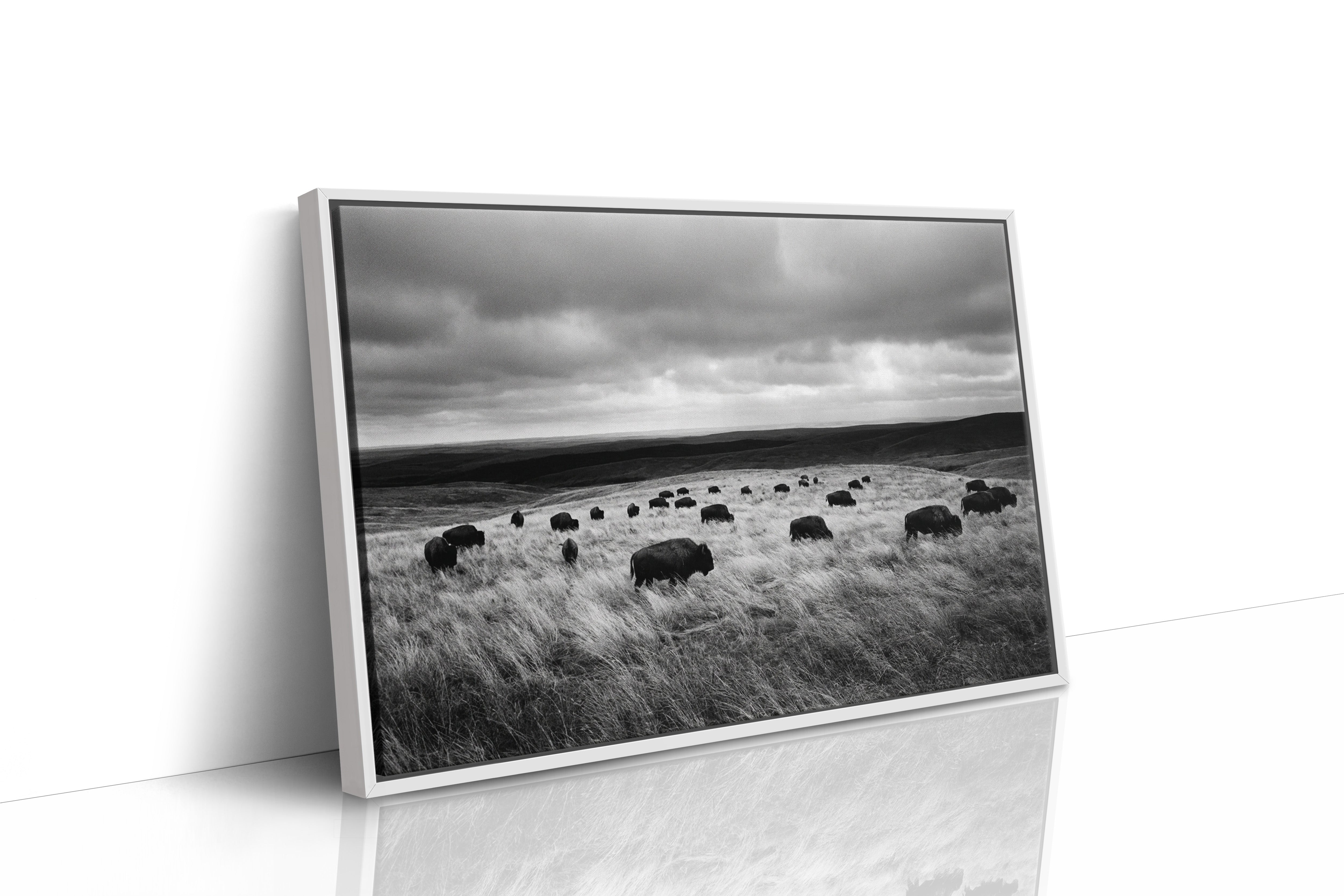 The Prairie Remembers Their Weight
