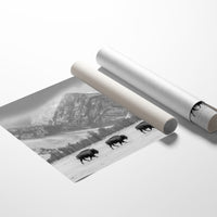Where the Buffalo Roam