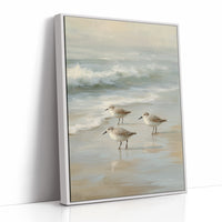 Shoreline Pause In Gentle Tide