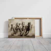 Thunder Hooves Chase Desert Wind