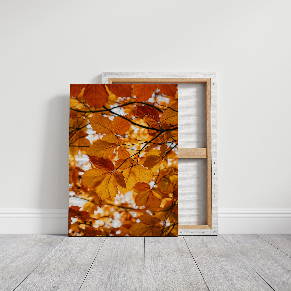 Stained Glass, Nature’s Version
