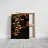 Fall Foliage, Hanging On For Dear Life