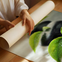 Zen Stones Meet Urban Spirits