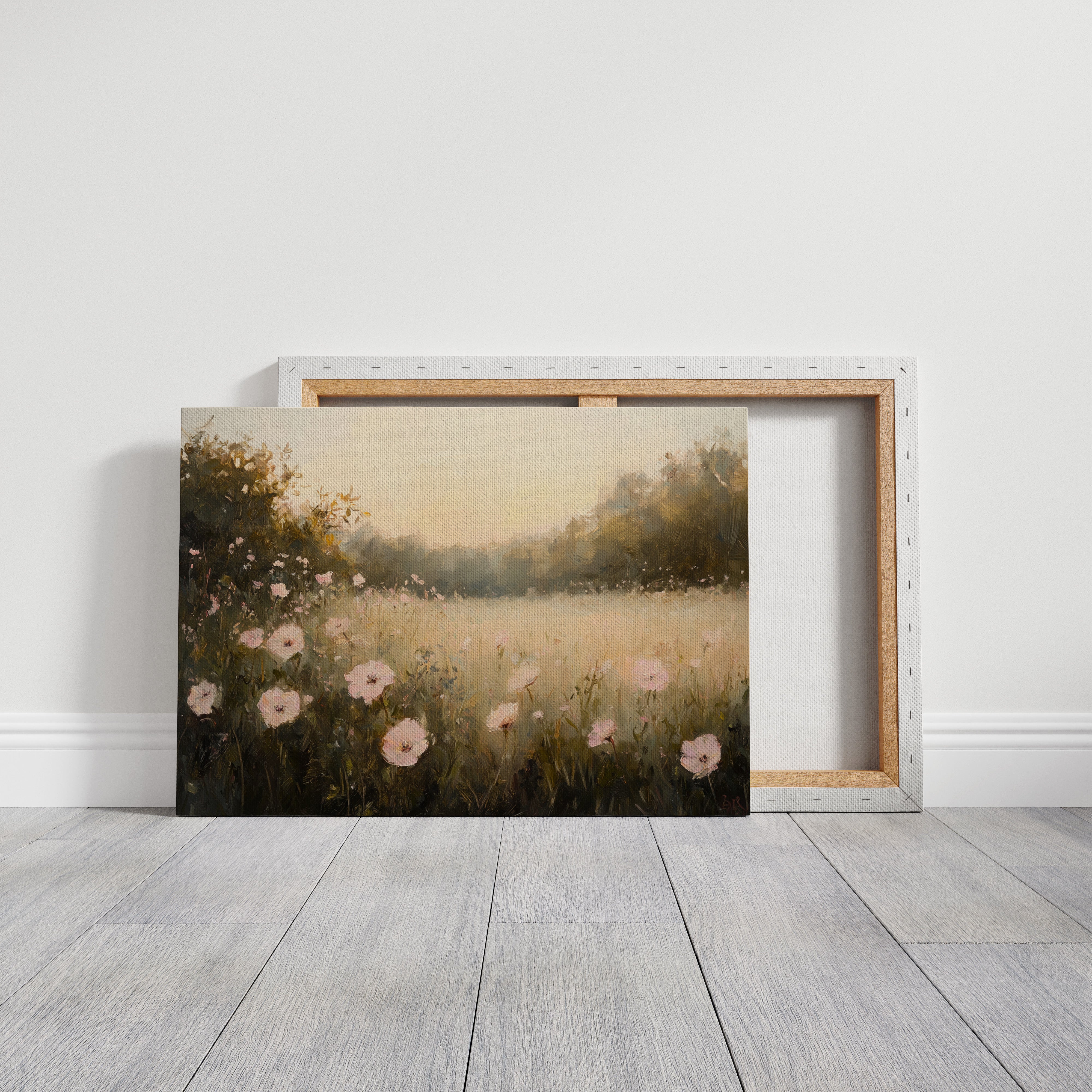 Summer Poppies Dance At Dawn