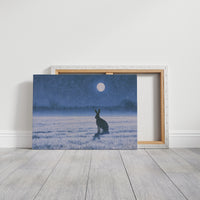 The Hare and the Full Moon