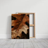 Oak ay, Ready For My Close Up, gallery wrapped canvas print shown front on