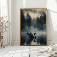 Black Swan in the Forest Mist