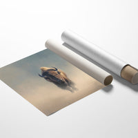 Prairie Ghost Emerges From Mist