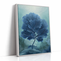 Indigo Flora In Morning Light