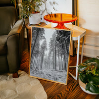 Beneath the Silent Canopy