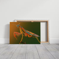 Dew-Kissed Mantis at Dawn