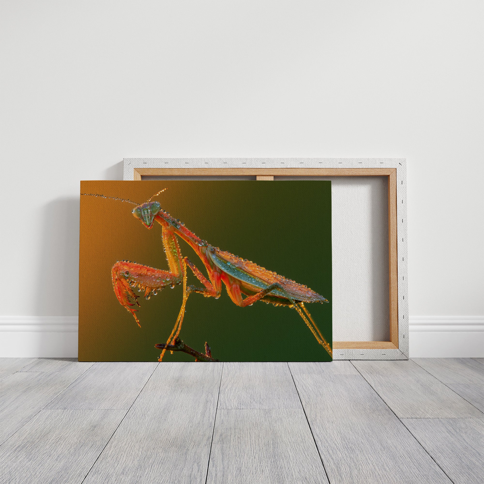 Dew-Kissed Mantis at Dawn