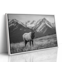 Crown of the Wilderness