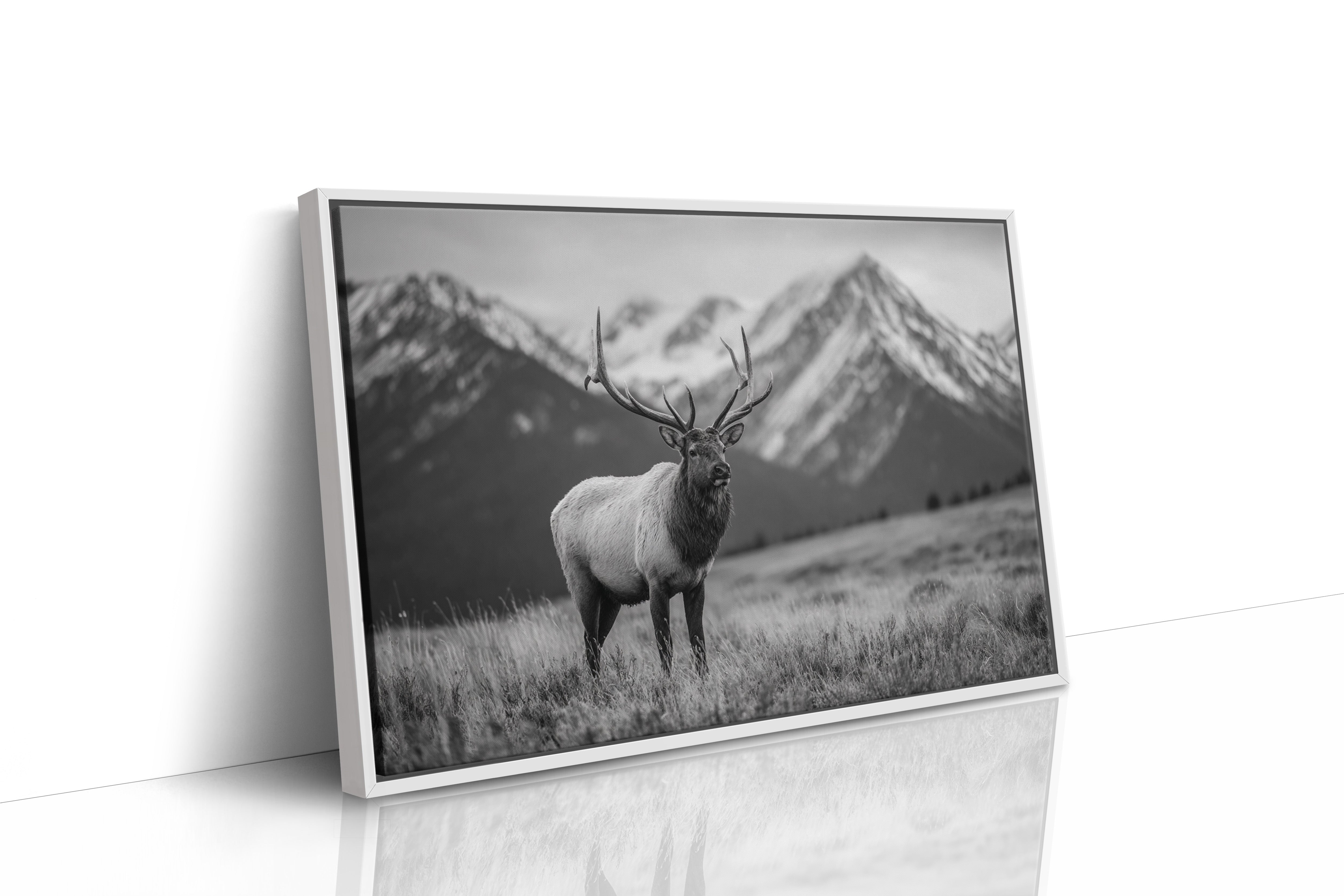 Crown of the Wilderness